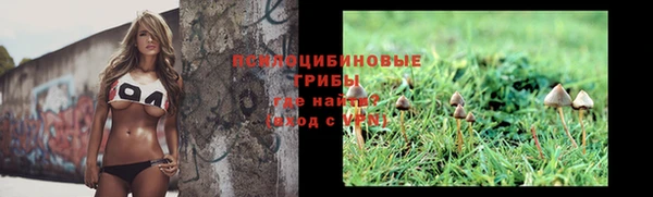 прущий лед Каменка