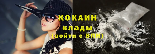 прущий лед Каменка