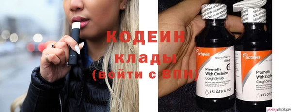 прущий лед Каменка