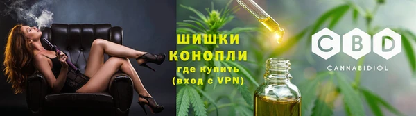 прущий лед Каменка