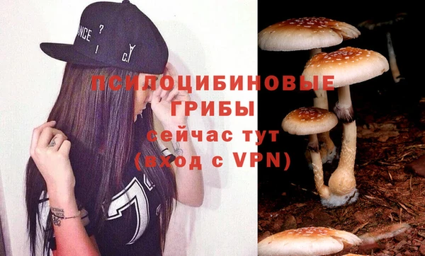 прущий лед Каменка