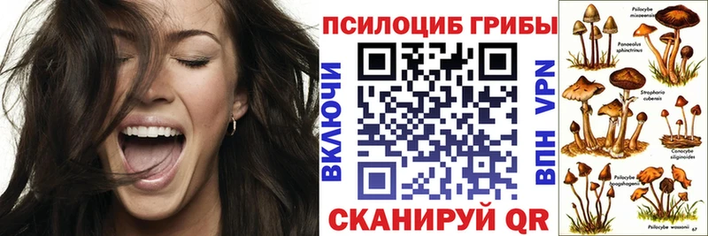 Купить  Людиново  Галлюциногенные грибы ЛСД 